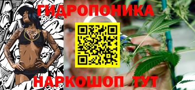 ПСИЛОЦИБИНОВЫЕ ГРИБЫ Краснознаменск