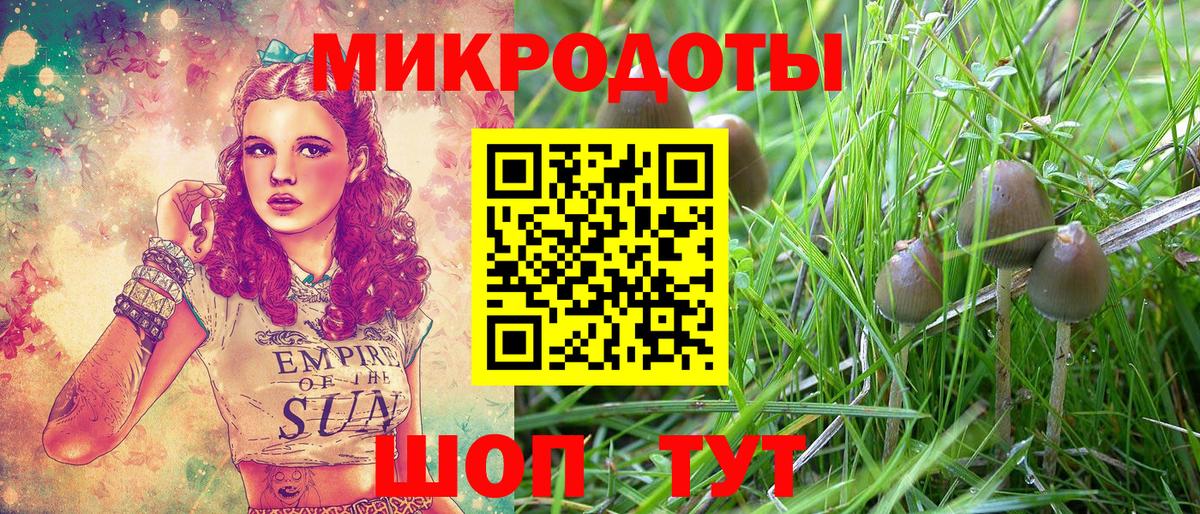 Псилоцибиновые грибы Cubensis Гусев